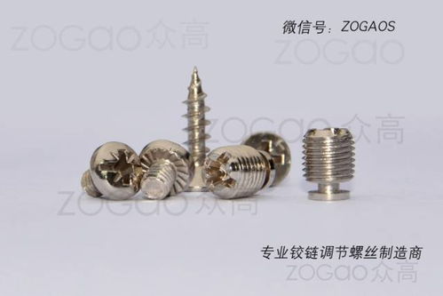 揭東縣埔田鎮東春五金制品廠是一家新型鉸鏈調節螺絲生產廠家