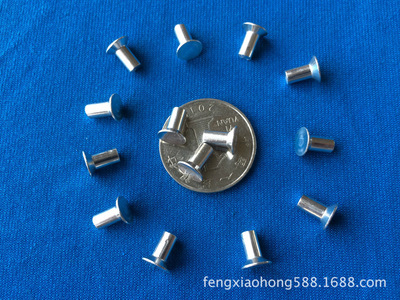 【鉚釘,緊固件五金制品】價(jià)格,廠家,圖片,鉚釘,東莞市鳳崗豐順五金廠-